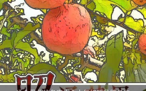 适合果业的名字大全大气好听品牌名称