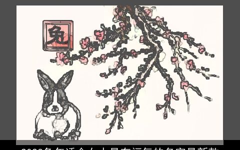 2024兔年适合女人最有福气的名字最新款