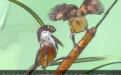 鸟的名字叫什么好听可爱二个字的鸟名字大全霸气 2024