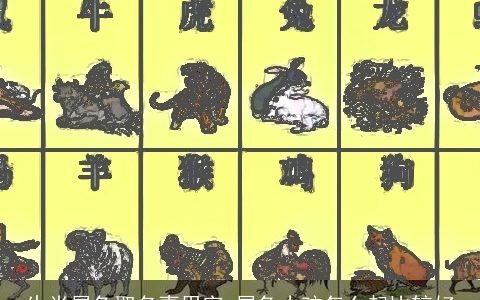 生肖属兔取名喜用字 属兔小孩怎么起比较好