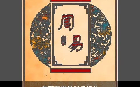 葛茹苗周易起名打分