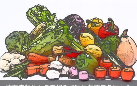 蔬菜店起什么名字好听好听的蔬菜店名称大全