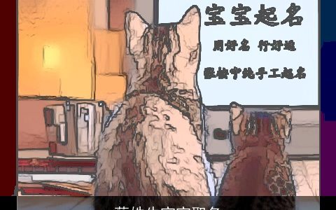 蔡姓牛宝宝取名