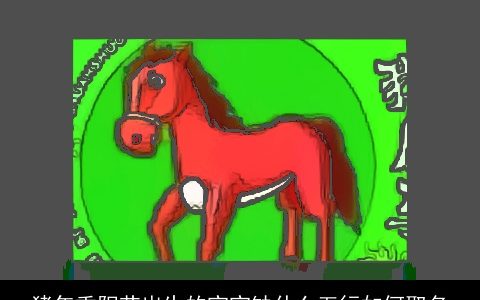 猪年重阳节出生的宝宝缺什么五行如何取名