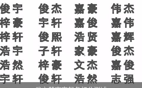 武文慧宝宝起名打分测试