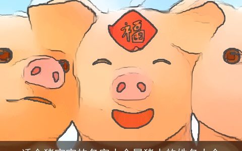 适合猪宝宝的名字大全属猪人的姓名大全