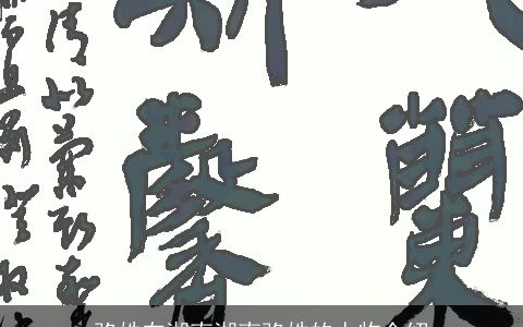 骆姓在湖南湖南骆姓的人物介绍