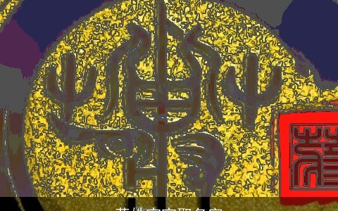 蒋姓宝宝取名字