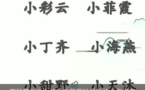 芒种节气出生的女孩萌萌哒好听的小名推荐