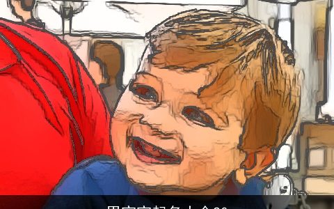 男宝宝起名大全20