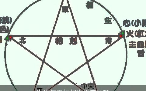 生肖与五行相生相克原理