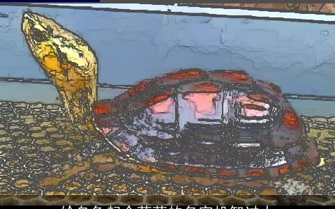 给乌龟起个萌萌的名字机智过人