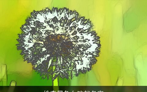 姓李属兔女孩起名字