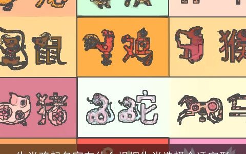 生肖鸡起名宜有什么根据生肖选择合适字形