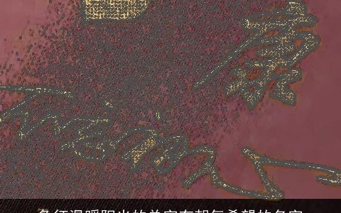 象征温暖阳光的单字有朝气希望的名字