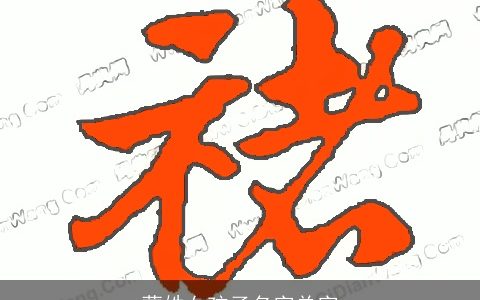 蒙姓女孩子名字单字