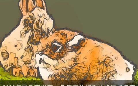 2024年属兔宜用字  兔年高分好听的绝佳好名字