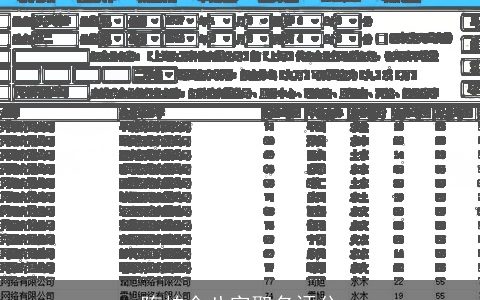隋柏全八字取名评分