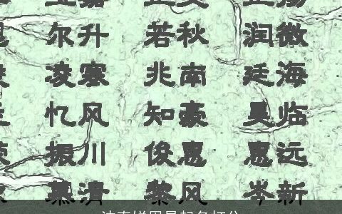 沈真婵周易起名打分