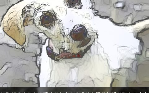 给狗起什么名字好听公犬名字大全推荐有涵养好听的狗名字大全