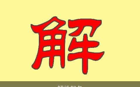 解姓起名