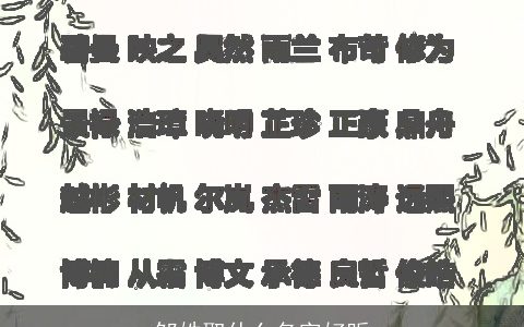 邹姓取什么名字好听