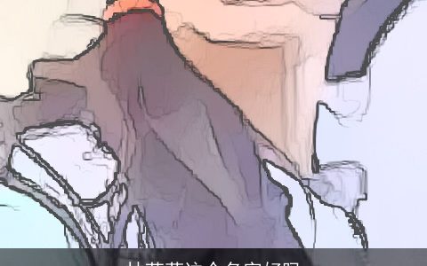 林莹菲这个名字好吗