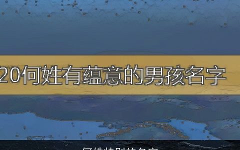 何姓特别的名字