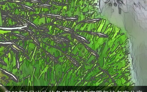 2023年9月出生的兔宝宝起名字霸气的名字分享