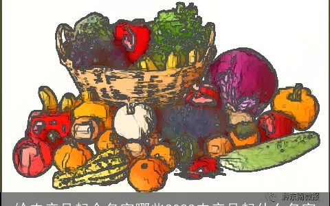 给农产品起个名字哪些2024农产品起什么名字