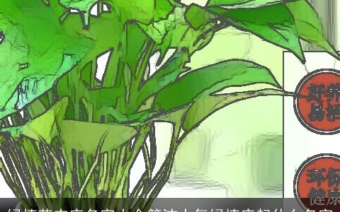 绿植花卉店名字大全简洁大气绿植店起什么名字