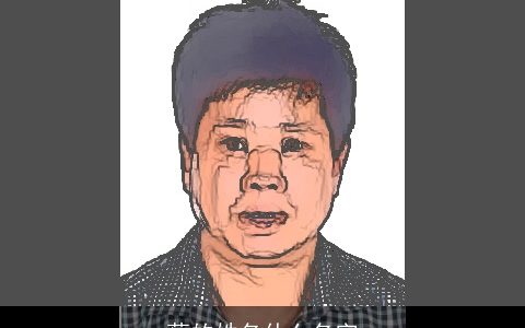 蔡的姓名什么名字