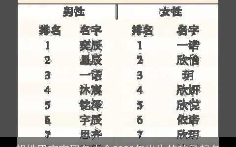 胡姓男宝宝取名大全2024年出生的孩子起名