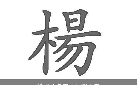 姓杨的名字女生四个字