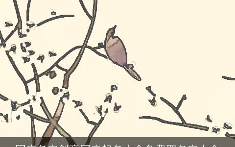 网店名字创意网店起名大全免费取名字大全