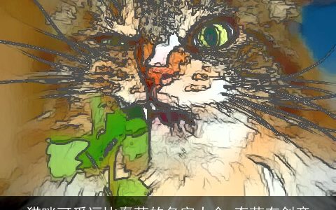 猫咪可爱逗比蠢萌的名字大全 奇葩有创意