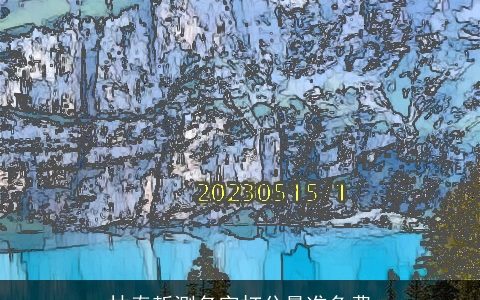 林泰哲测名字打分最准免费