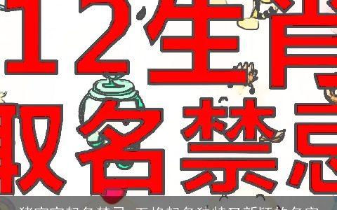 猪宝宝起名禁忌 五格起名独特又新颖的名字