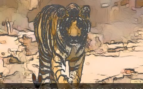 虎宝宝有粮食寓意的字有哪些含义是什么帅气寓意的虎宝宝名字大全