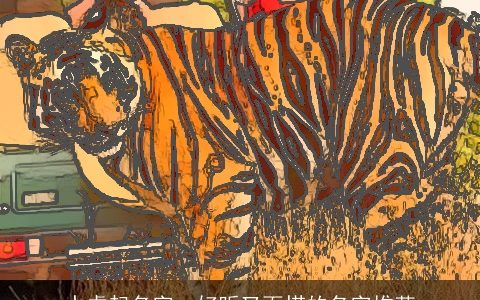 水虎起名字  好听又百搭的名字推荐