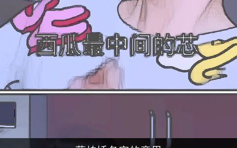 蔡柏娇名字的意思