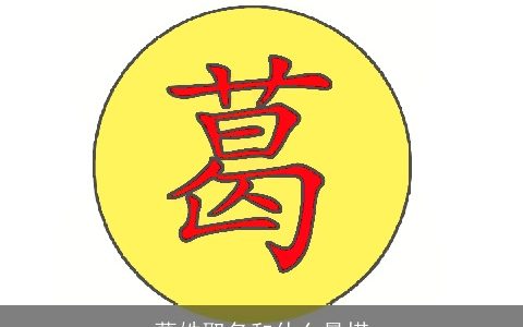 葛姓取名和什么最搭