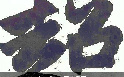 姓岳起4个字的名字