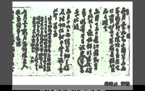武姓有白字的宝宝名字