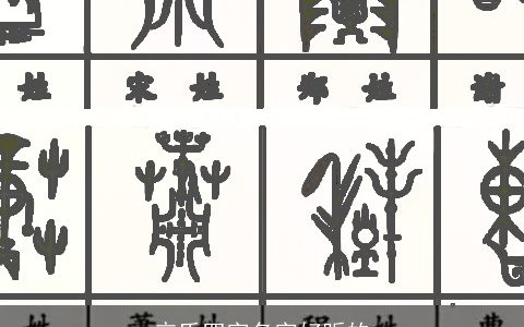 辛氏四字名字好听的