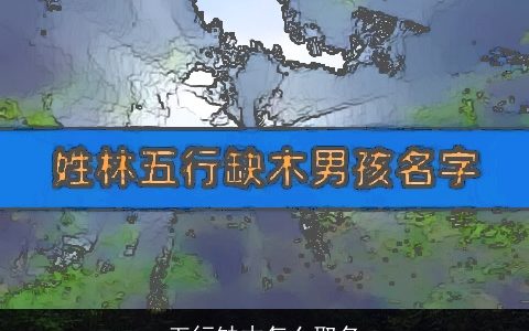 五行缺木怎么取名