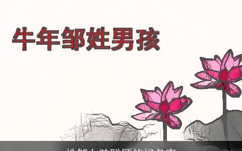 姓邹女孩聪颖的好名字