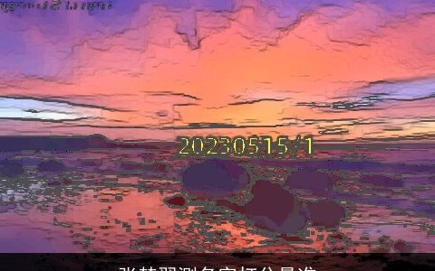 张楚翌测名字打分最准