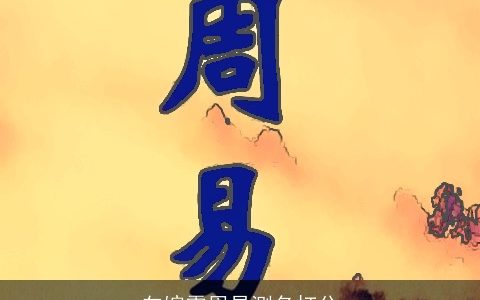 向婉霖周易测名打分