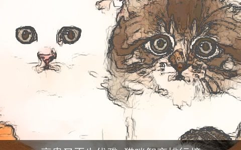 高贵又不失优雅 猫咪智商排行榜